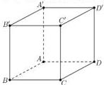 Hình lập phương ABCD.A'B'C'D'