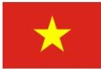 Cờ Việt Nam - Hình 1