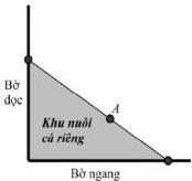 Hình vẽ khu nuôi cá riêng là tam giác vuông với hai cạnh là bờ dọc và bờ ngang, cạnh huyền là lưới đi qua điểm A