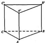 Hình lăng trụ tam giác đều ABC.A'B'C'