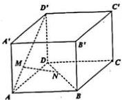 Hình hộp ABCD.A'B'C'D' với các điểm M trên AD' và N trên BD