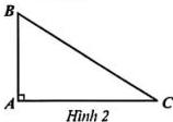 Hình 1