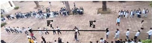 Trận kéo co với hai lực $\vec{F}_1$ và $\vec{F}_2$ ngược chiều nhau
