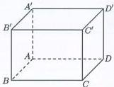 Hình lập phương $ABCD.A'B'C'D'$