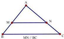 Tam giác ABC với MN // BC, M thuộc AB, N thuộc AC