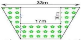 Khu vườn hình thang có đáy lớn 33m và ao hình chữ nhật bên trong kích thước 17m và 10m