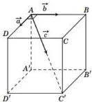 Hình lập phương $ABCD.A'B'C'D'$ với ba lực $\vec{a}, \vec{b}, \vec{c}$ cùng hướng với $\overrightarrow{AD}, \overrightarrow{AB}, \overrightarrow{AC'}$ tại đỉnh $A$