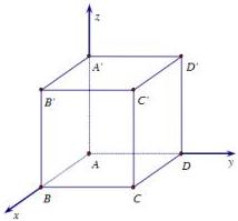 Hình lập phương ABCD.A'B'C'D' trong hệ trục tọa độ Oxyz