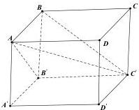 Hình vẽ khối hộp ABCD.A'B'C'D' với các đường chéo