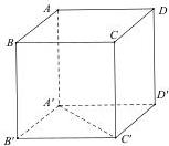 Hình lập phương ABCD.A'B'C'D'