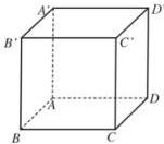 Hình lập phương ABCD.A'B'C'D'