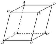 Hình hộp ABCD.A'B'C'D'
