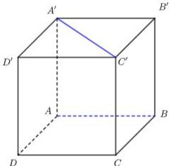 Hình lập phương ABCD.A'B'C'D'