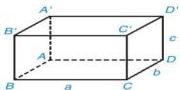 hình lập phương ABCD.A'B'C'D'
