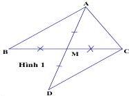 Hình 1