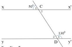 Hình vẽ hai đường thẳng xx' và yy' bị cắt bởi cát tuyến CD, góc C1 = 50° tại điểm C và góc D1 = 130° tại điểm D