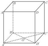 Hình lập phương ABCD.A'B'C'D' với O' là tâm của hình vuông A'B'C'D'