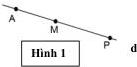 Hình 1 đường thẳng d với các điểm A, M, P