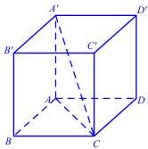 Hình hộp chữ nhật ABCD.A'B'C'D'