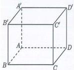 Hình lập phương $ABCD.A'B'C'D'$