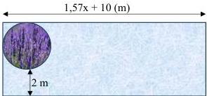 Hình minh họa hình chữ nhật có chiều dài $1,57x + 10$ (m) và bồn hoa hình tròn cách mép 2 m