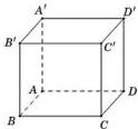Hình lập phương $ABCD.A'B'C'D'$