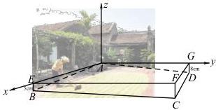 Sân tứ giác $ABCD$ và hệ trục tọa độ $Oxyz$ với $A(0;0;0)$