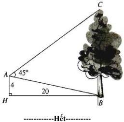 Sơ đồ quan sát cây cao với các điểm A, H, B, C và góc BAC = 45°, AH = 4, HB = 20