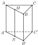 Hình lăng trụ tam giác đều ABC.A'B'C'