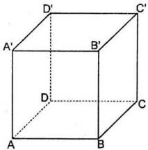 Hình lập phương ABCD.A'B'C'D'