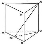 Hình lăng trụ đứng ABC.A'B'C' với M là trung điểm của AB