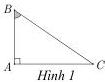 Hình 1