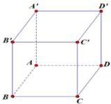 hình hộp chữ nhật ABCD.A'B'C'D'