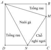 Hình vuông ABCD với các điểm M trên BC, N trên CD; các vùng trồng rau, nuôi gà và chỗ nghỉ ngơi được chú thích