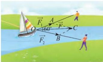 Minh họa hai người kéo thuyền với các lực $\overrightarrow{F_1}$, $\overrightarrow{F_2}$ hợp góc $60^{\circ}$ và lực tổng hợp $\overrightarrow{F}$