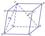 Hình hộp ABCD.A'B'C'D' với tâm O, O' của các hình bình hành ADD'A' và ABB'A'
