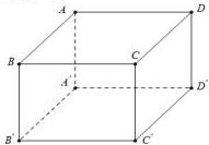 Hình lập phương ABCD.A'B'C'D'