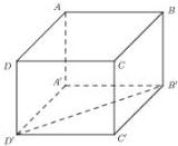 Hình lập phương ABCD.A'B'C'D'