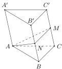 hình lăng trụ $ABC.A'B'C'$ với $M, N$ là trung điểm của $CC'$ và $BB'$
