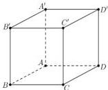 Hình lập phương ABCD.A'B'C'D'