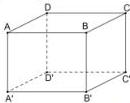 Hình hộp chữ nhật ABCD.A'B'C'D'