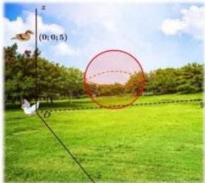 Minh họa vùng không gian nguy hiểm dạng mặt cầu (S) và quỹ đạo bay của chim bồ câu và chim én trong hệ tọa độ Oxyz