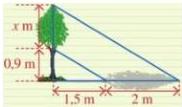 hình vẽ đo bóng của cây với độ cao x m và các số đo 0,9 m, 1,5 m, 2 m