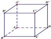 Hình lập phương $ABCD.A'B'C'D'$