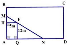 hình vẽ ao hình chữ nhật ABCD với lưới MN đi qua cọc E, khoảng cách EH = 5m, EQ = 12m