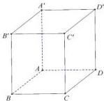 Hình hộp chữ nhật $ABCD.A'B'C'D'$