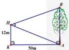 Sơ đồ minh họa bài toán đo chiều cao cây AB với các điểm H, K, A, B, trong đó HK = 12m, KA = 50m và góc AHB = 50°