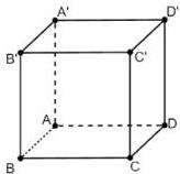 hình lập phương ABCD.A'B'C'D'
