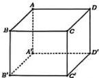 Hình lập phương ABCD.A'B'C'D'