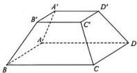 Hình chóp cụt tứ giác đều ABCD.A'B'C'D'